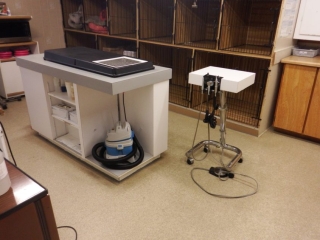 Setting up for a dental cleaning
